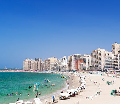 Alexandria Day Tour